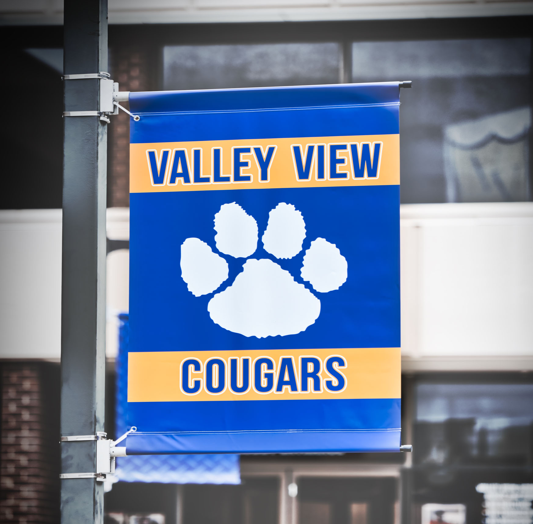 Home Valley View School District Home Valley View School District